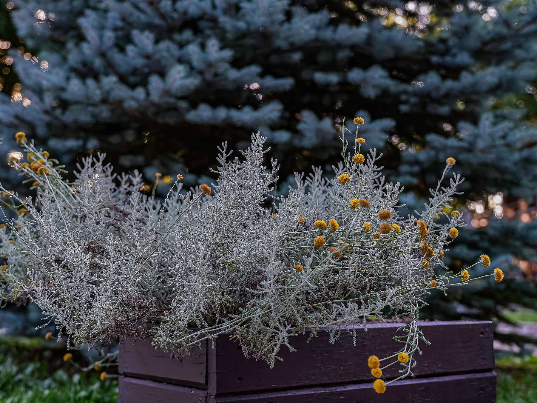 Отдых Гуамка термальные