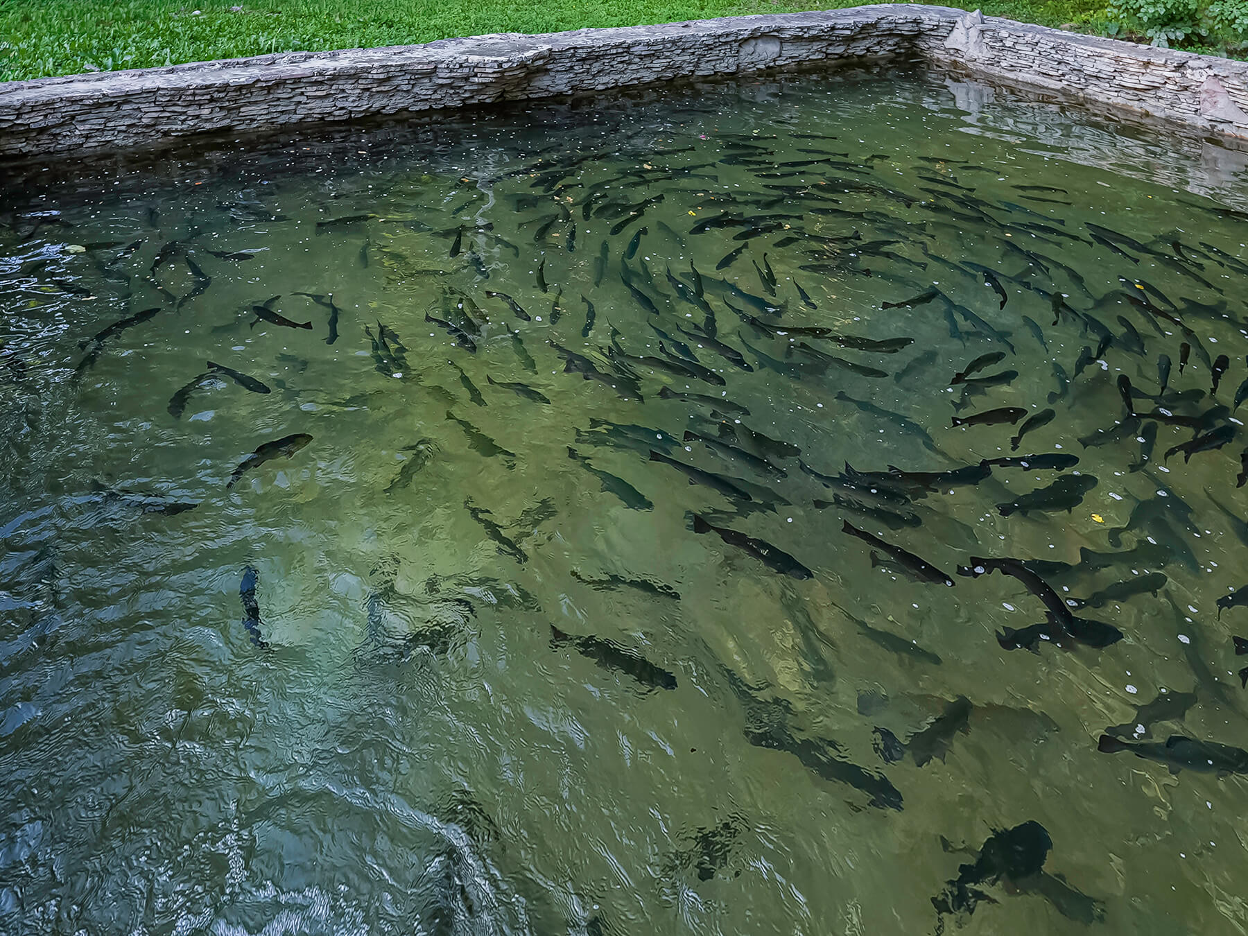 Отдых Гуамка термальные