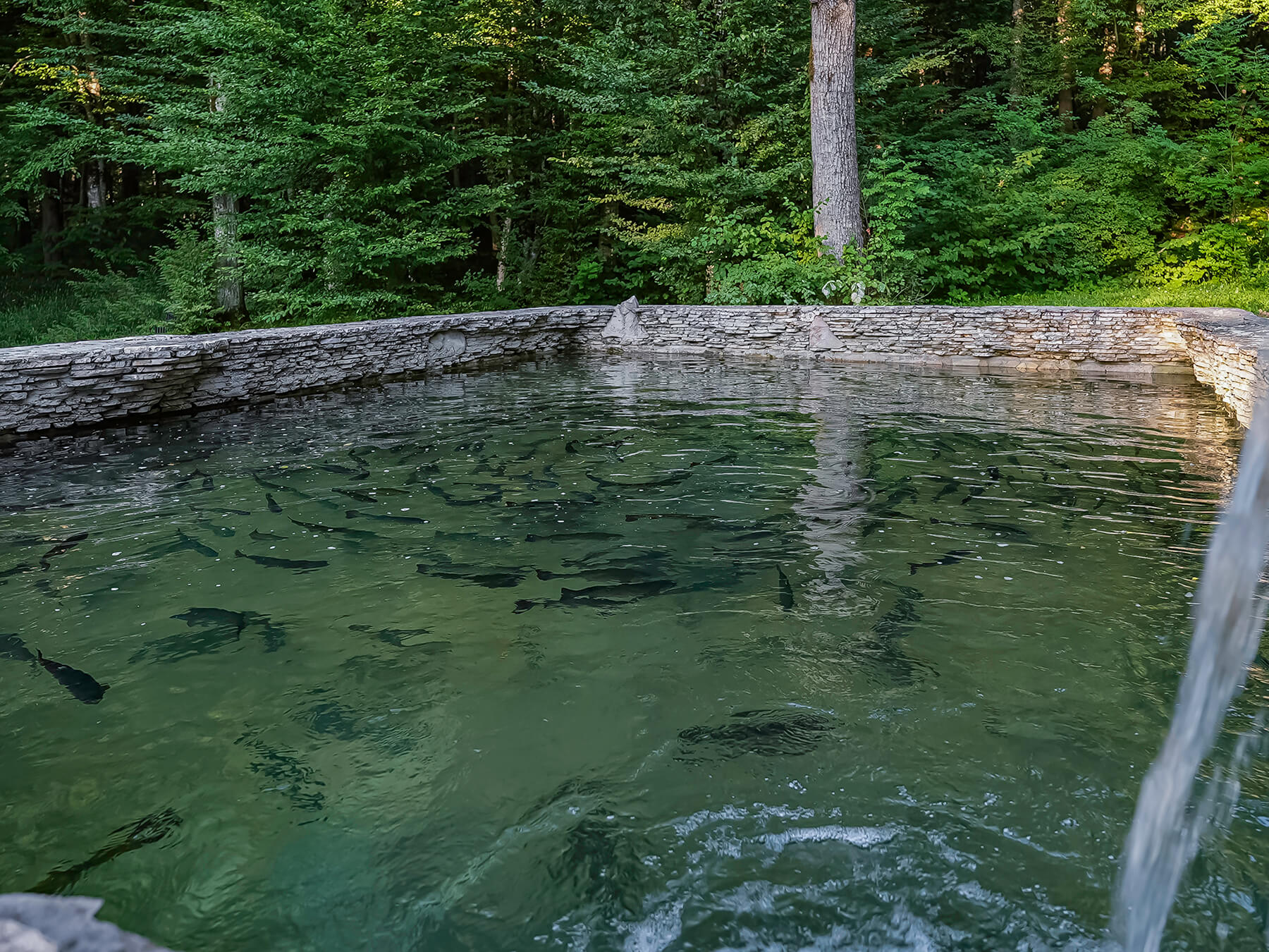 Отдых Гуамка термальные