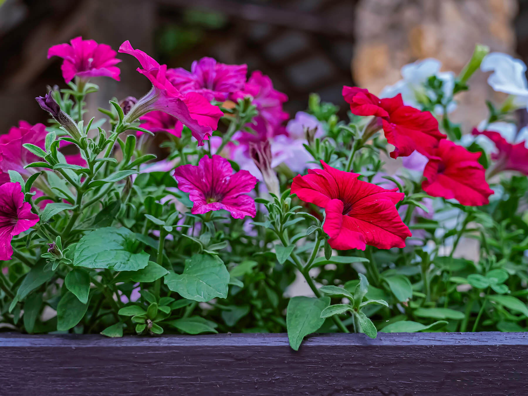 Отдых Гуамка термальные