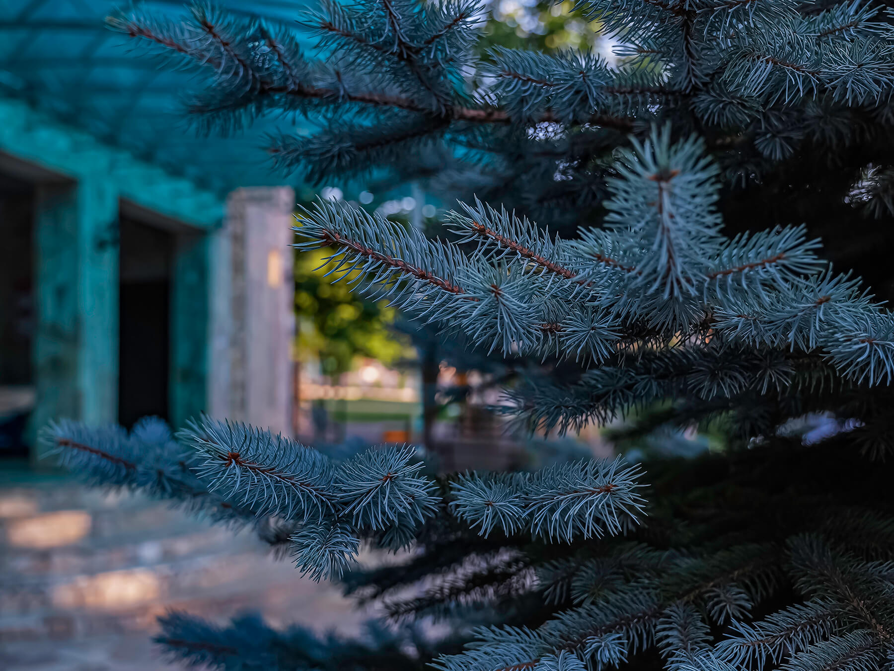 Отдых Гуамка термальные