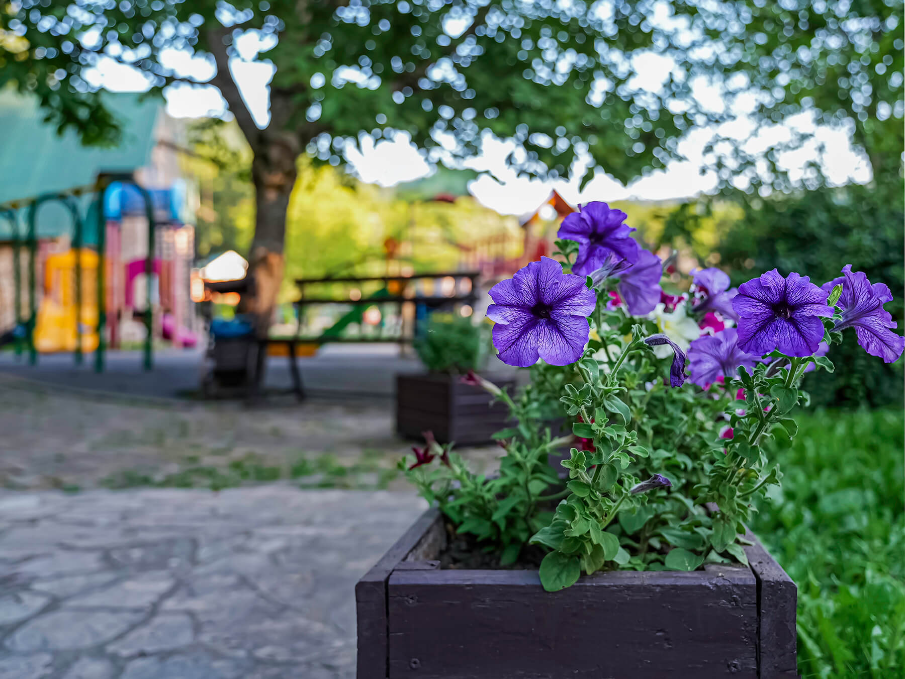 Отдых Гуамка термальные