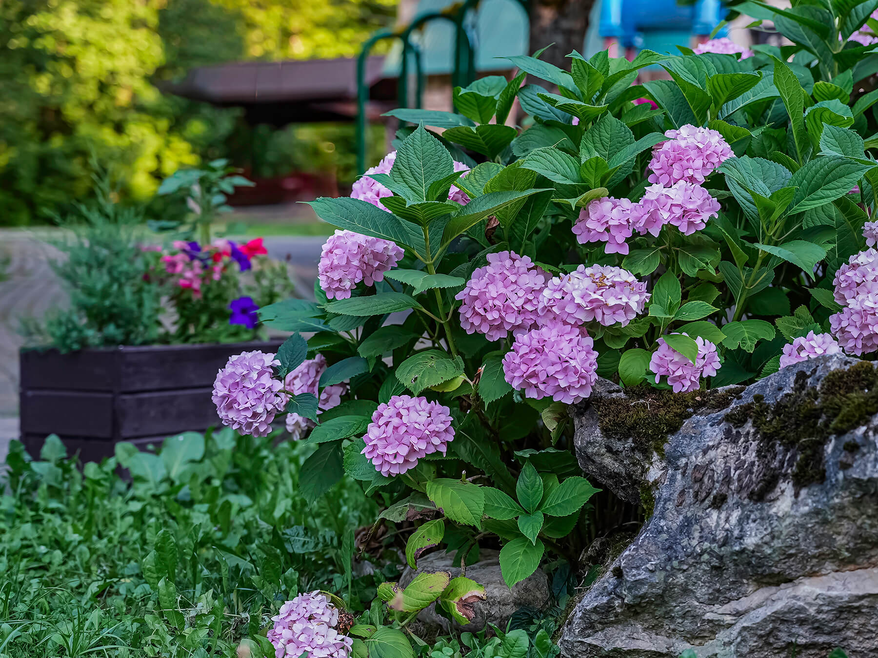 Отдых Гуамка термальные